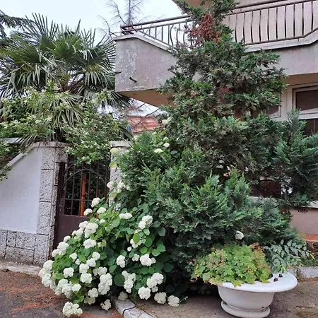 Къща Косара Ахелой מלון אהלוי